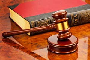 bankruptcy in tampa and new port richey