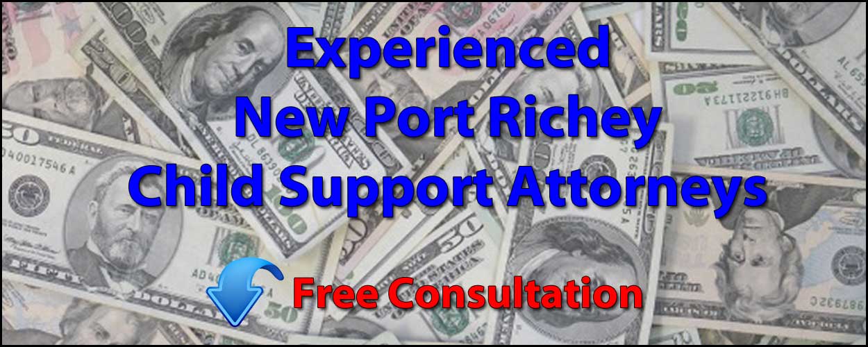 New Port Richey Child Support Attorneys - 225 Pages Pasco Info
