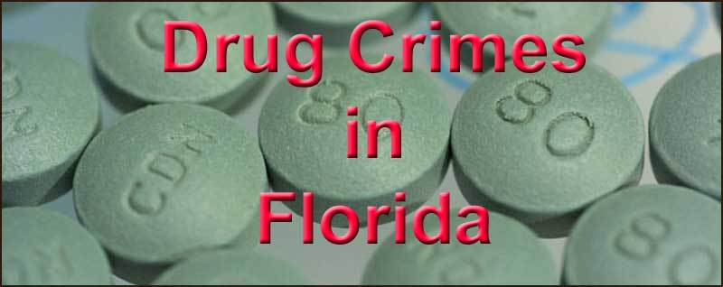 drug crimes in florida