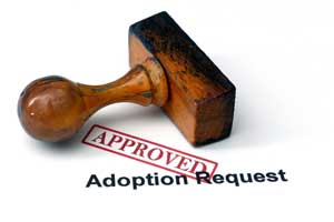 florida adoption case