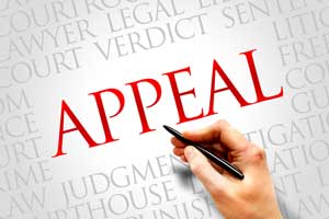 divorce appeals in florida