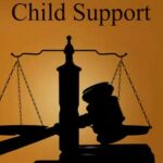 child support law in florida
