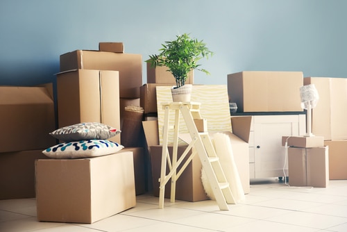 relocation with children